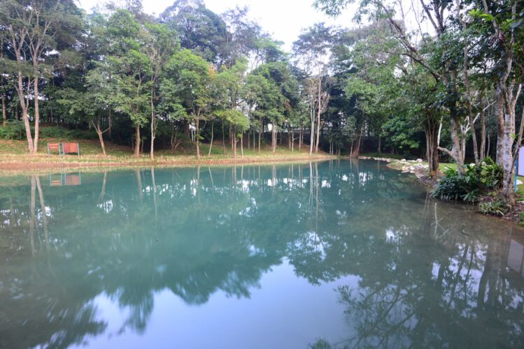 The Emerald Pool Tham Luang ​