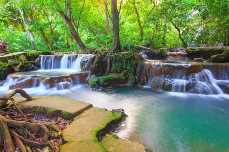 Than Bok Khorani National Park | Thailand Travel Map