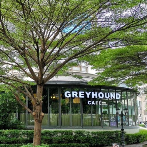 Greyhound-cafe-bangkok-5