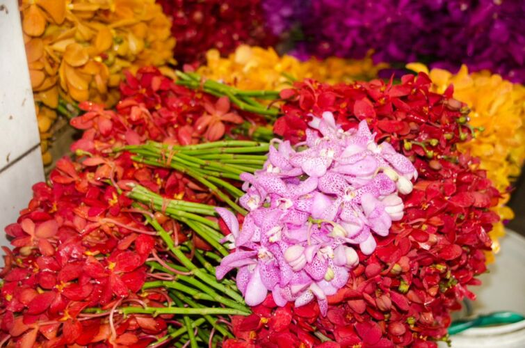 colorful flower market in bangkok