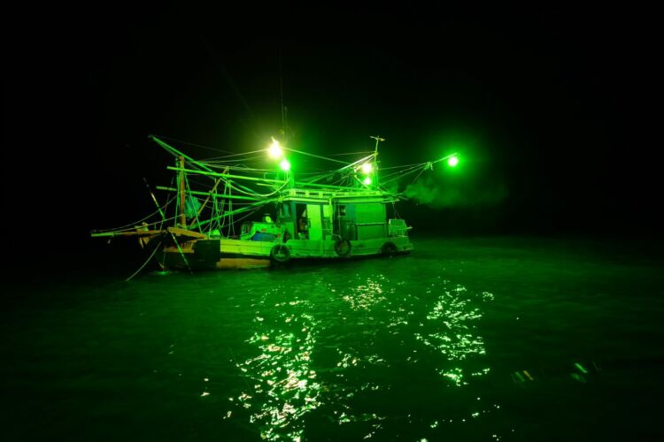 night squid fishing at chumphon
